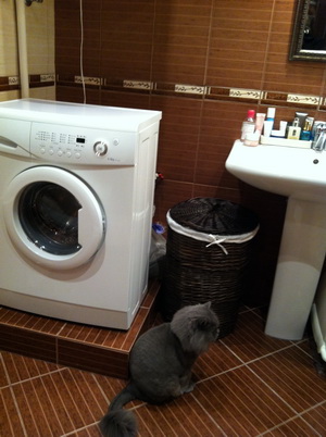 WhatsApp Image 2026-02-18 at 09.23